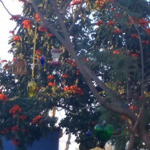 Meet your Posher, Debra